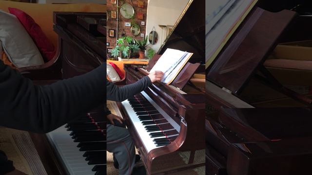 August Förster Piano practice смотреть онлайн