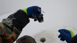 Зимняя катушка LEO DWS60 С ALIEXPRESS