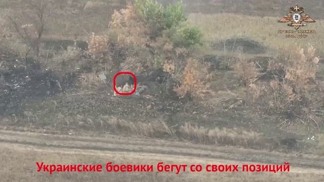 Украинские военные подались до дому. смотреть онлайн