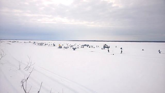 Атака на щуку рыбаками_Катравож_4 марта 2017 года смотреть онлайн