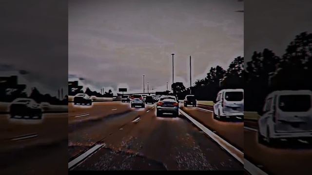 DEAD VINES🖤☠️