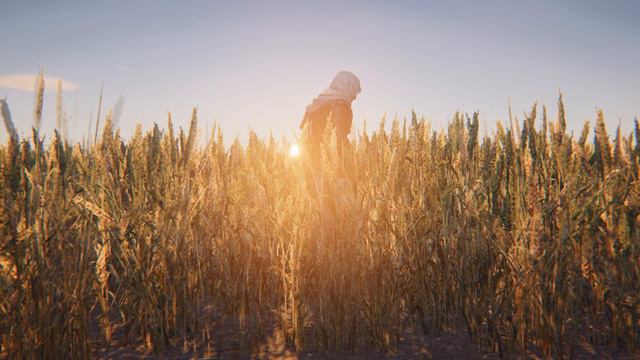 Assassin's Creed: Истоки (Origins) (ч.10) смотреть онлайн