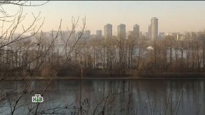 Возвращение Мухтара 2. Карточный долг