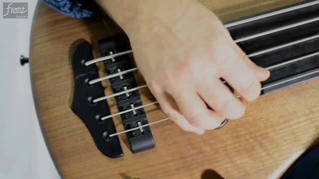 Franz Bassguitars Sirius fretless смотреть онлайн