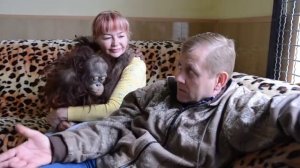 Сафари парк львов Тайган