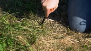 Палатка автомат на 3-4 места - пожалуй, с лучшей вентиляцией в мире!