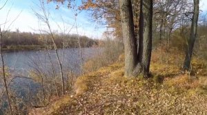 Влог №28  На рыбалке, на реке Самарка