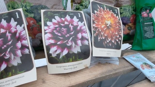 Магазин Светофор Обзор покупок для сада 2022г./За ДЕШЕВЫМИ РОЗАМИ В СВЕТОФОР!!! /РАСПАКОВКА ПОКУПОК смотреть онлайн