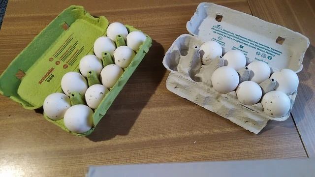 Яйценоскость зимой кур несушек Декалб Уайт смотреть онлайн