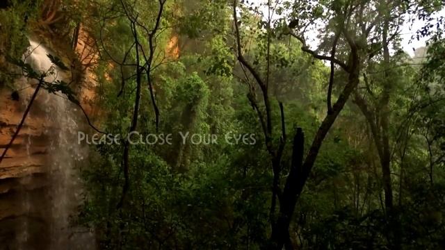 Йога внутреннего исследования Yoga For Inner Exploration Шамбхави Мудра Садхгуру на Русском смотреть онлайн