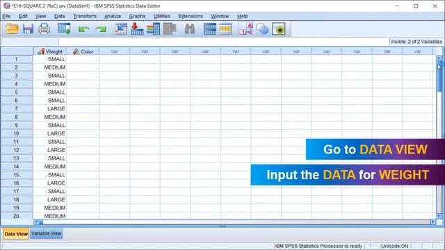 How to do a RxC Chi-Square Correlation in SPSS? | iLearn Statistics смотреть онлайн