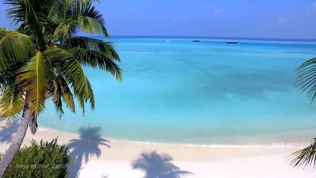 Красивая расслабляющая музыка для снятия стресса ? Успокаивающая, лечебная музыка с пением птиц смотреть онлайн