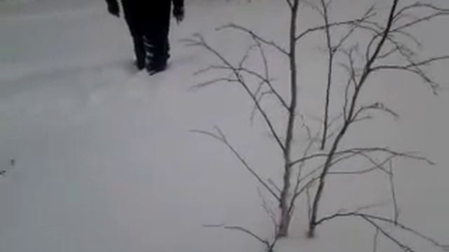 Газпром как на севере деньги зарабатывают.mp4 смотреть онлайн