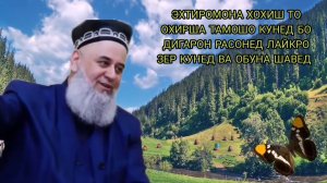 САВОЛУ ЧАВОБ  ХОЧИ МИРЗО