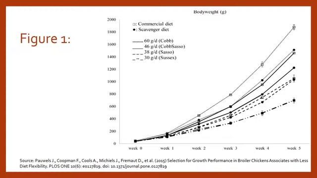 Adv. Meat Science--Slow-growing Poultry Genetics by C. Barnhardt смотреть онлайн
