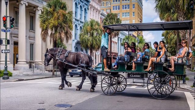 Horse And Carriage In The City | Free Sound Effects | City Sounds смотреть онлайн