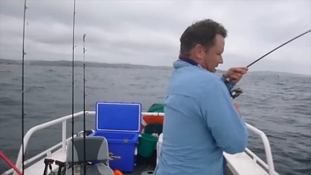 How to catch Kingfish on soft plastics - Ep 26 смотреть онлайн