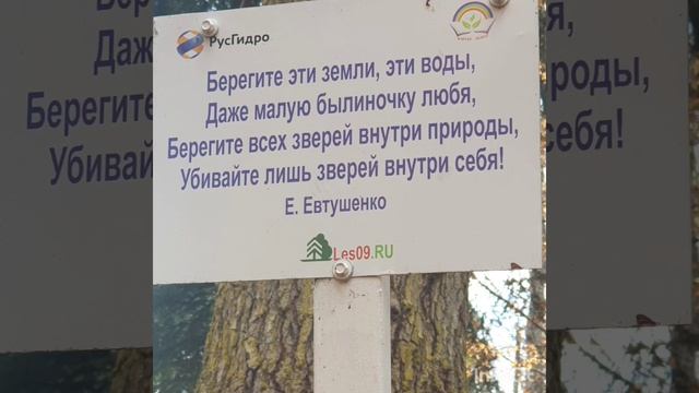 Архыз. Клуб туристов Догавед. Мостовской район.Северо-западный кавказ.Чистая вода.красивейшие места смотреть онлайн