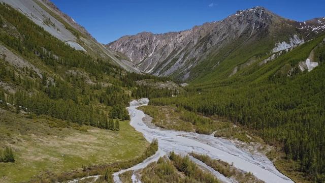 Мы на санкции положим / авторская песня / Максим Кинжал 2022 г. смотреть онлайн