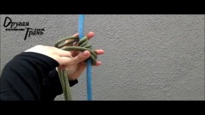 Клеймхест (Австрийский схватывающий)