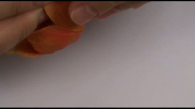 физалис из холодного фарфора (полимерной глины) смотреть онлайн