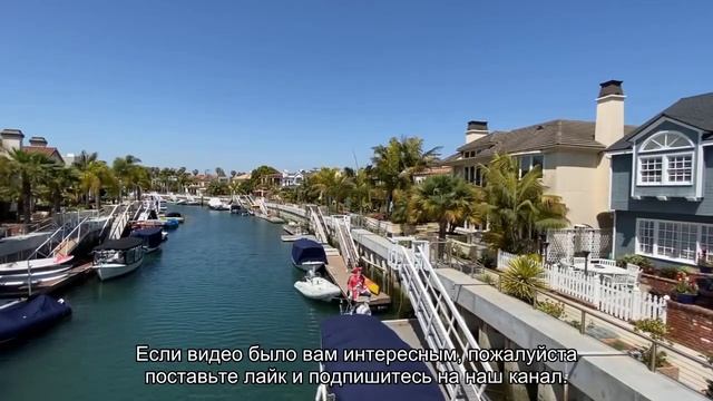 Как определить пол красноухих черепах? смотреть онлайн