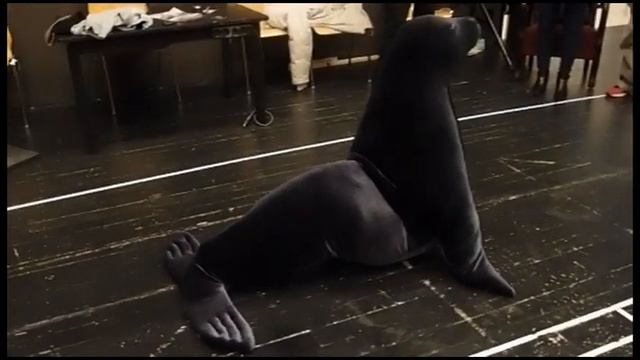 Atelier Ulrich Mertel - Anprobe Robben Kostüm смотреть онлайн