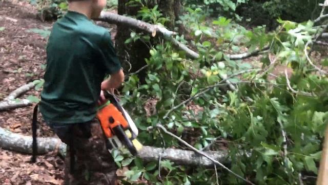 The Lumberjack Kid Cleans Up Fallen Branch with Stihl Chainsaw смотреть онлайн