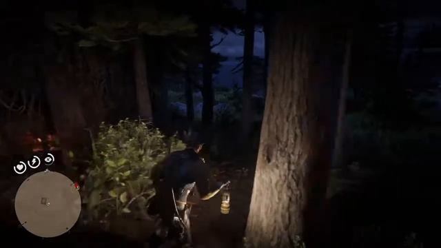 Ред дед 2 загадочный суп