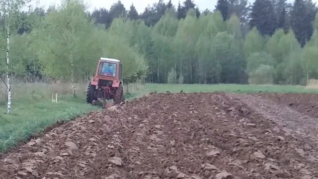 ВСПАШКА УЧАСТКА ПОД КАРТОШКУ НА Т-25. смотреть онлайн