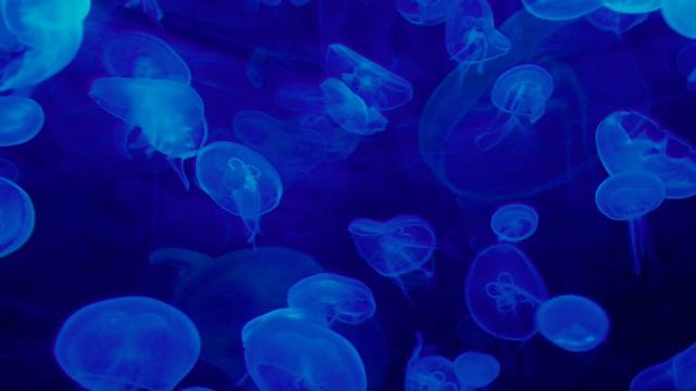 1 HR Bilateral Music Therapy - Relieve Stress, Anxiety, PTSD, Nervousness - EMDR, Brainspotting