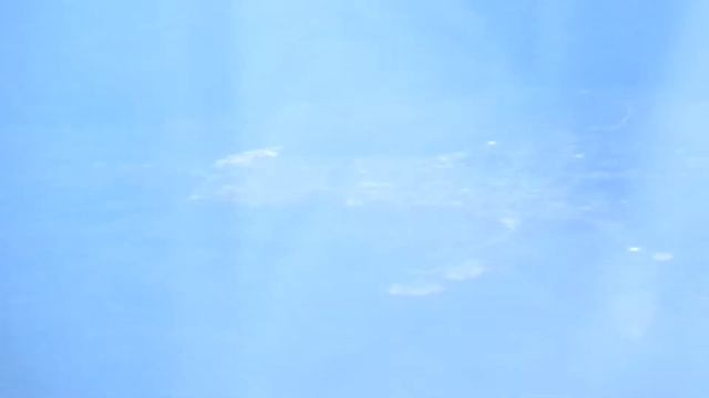 Перелет Новый Уренгой - Москва Шереметьево 15.07.2019 г. смотреть онлайн