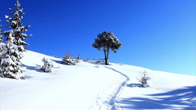 WHITE BORJOMI-KHARAGAULI NATIONAL PARK смотреть онлайн