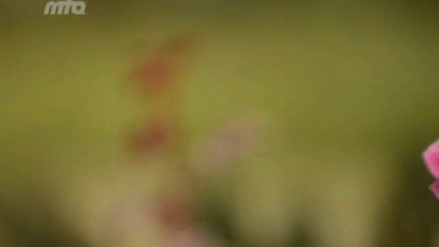Beautiful Qaseeda By Hazrat Mirza Ghulam Ahmed Qadiani (as) смотреть онлайн