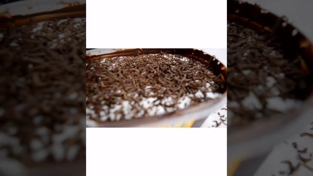 Домашний ужин с Ольгой