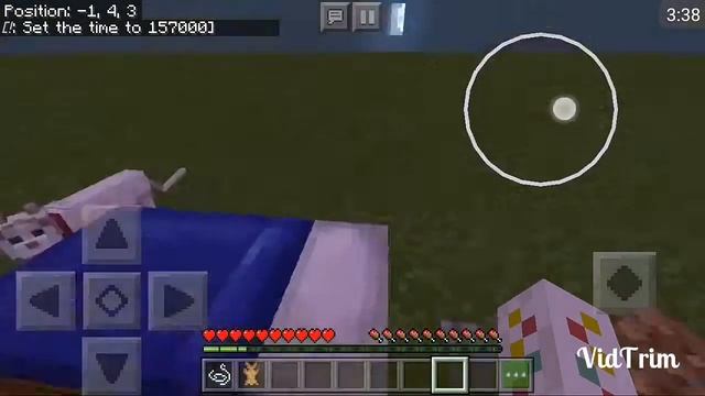 Что приносят прирученные кошки после сна игрока в Майнкрафте? смотреть онлайн