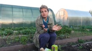 Кругом подделки! 2 простых способа проверить подлинность Престижа