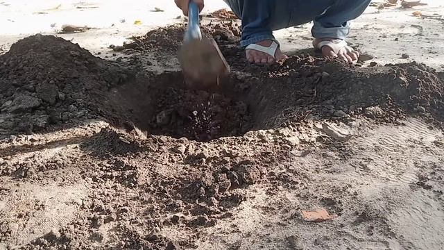 BERBURU HARTA KARUN DIPERKARANGAN WARGA MD TX 960 смотреть онлайн
