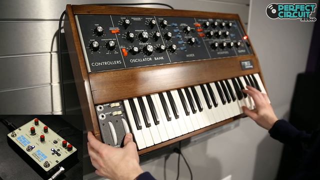 Hologram Dream Sequence & Moog Minimoog Jam