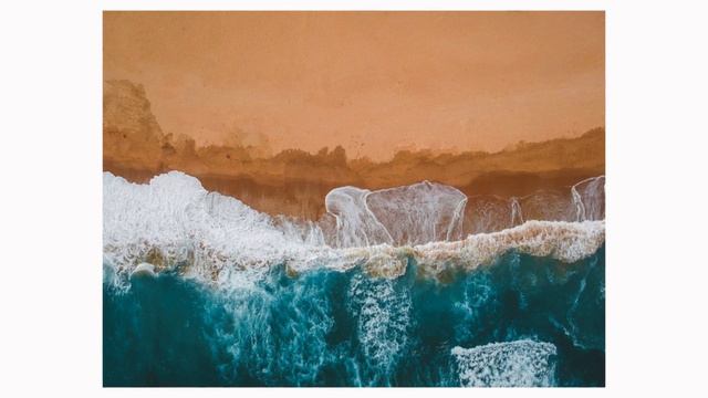 Пізнаємо природу (Біда) 6 клас 2023р. сторінка - 119-123