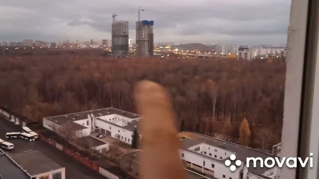 Как я храню квашеную капусту / моя морозилка / удобный способ заморозки ягод / вид из окна высотки смотреть онлайн