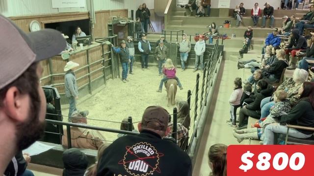 OFF TO THE LOCAL PONY SALE! смотреть онлайн