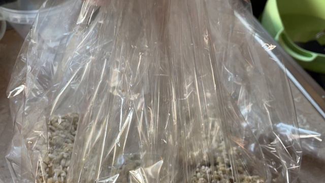 Боверия mix от tutAGRO со второго раза отлично наросла по инструкции смотреть онлайн