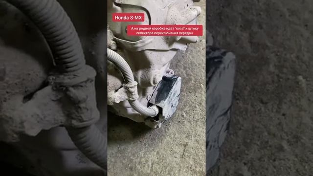 Honda S-MX замена КПП