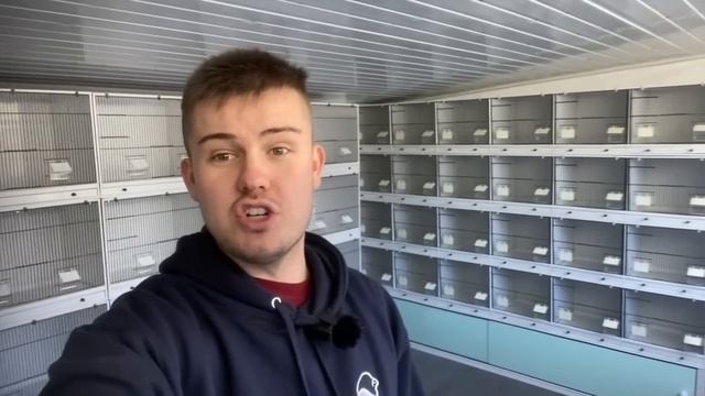 My AMAZING *NEW* Bird Breeding Room! смотреть онлайн