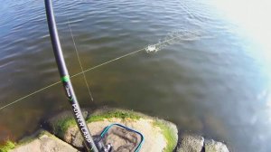 Классическая рыбалка на макушатник.