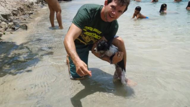 fortaleza jeri смотреть онлайн