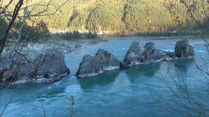 Очистка души от негативной психической энергии Для женщин Настрои академика Сытина Г.Н.