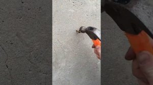 Анкер-клин (потолочный). Принцип работы.