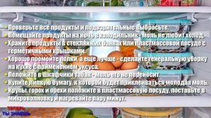 МОЛЬ Боится ЭТИХ СРЕДСТВ Как ОГНЯ ! Избавьтесь От МОЛИ Уже СЕГОДНЯ !